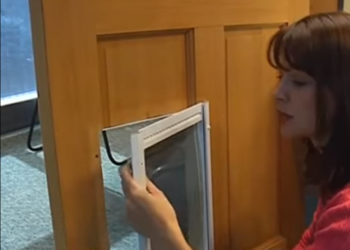replacing existing cat flap