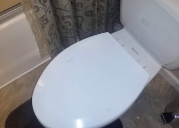 repair scratched toilet bowl
