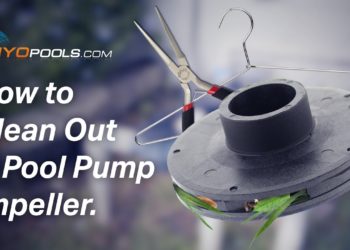 how to clean pump impeller