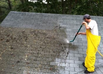 remove moss from wall before painting