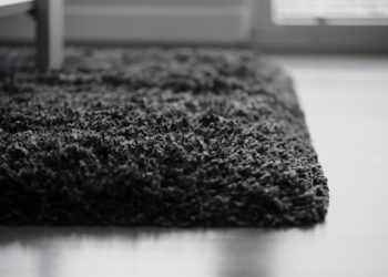 fastest way to dry carpet
