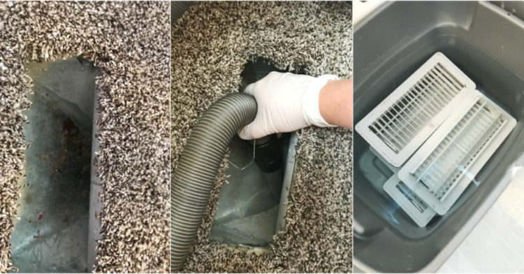 how-do-you-get-rid-of-black-mold-in-hvac