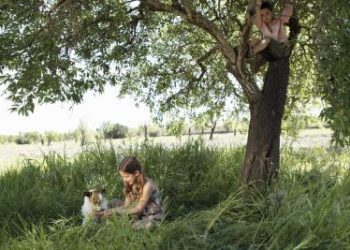 how to kill grass around trees