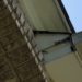 wasp nest soffit