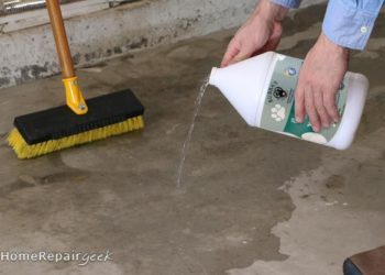 how to clean dog pee on concrete