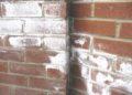 white stuff on bricks