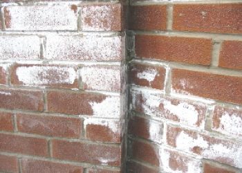 white stuff on bricks