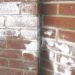 white stuff on bricks