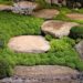 moss walkway