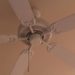 adding a light kit to a hunter ceiling fan