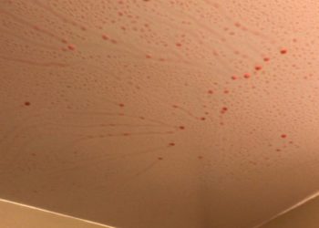 paint bleeding