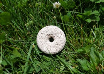 Are mosquito dunks the same as mosquito bits?