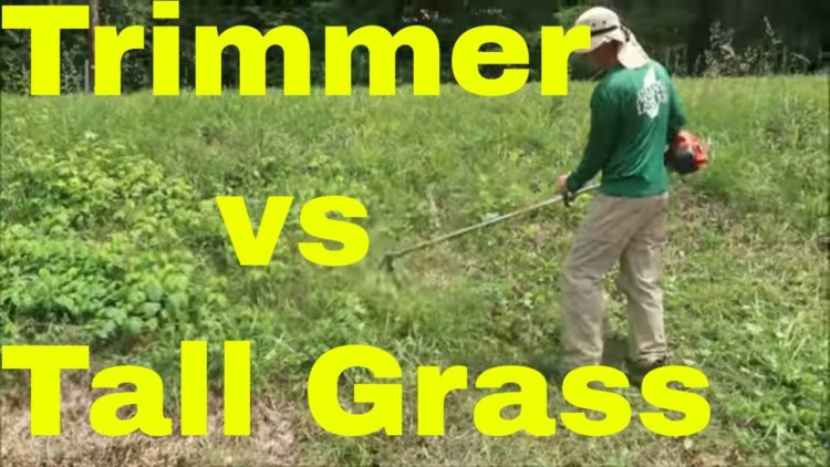 Can you use a string trimmer on wet grass?