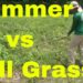 Can you use a string trimmer on wet grass?