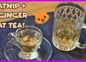 how to make catnip tea