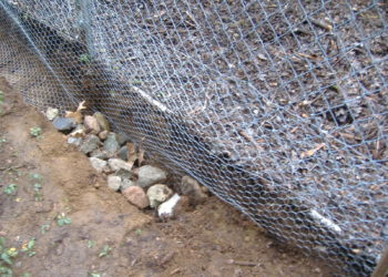chicken wire rocks