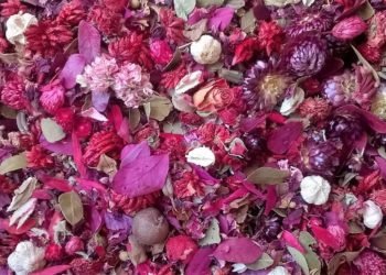pot pourri rose
