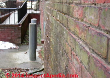 red algae on exterior walls