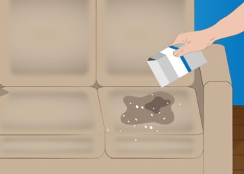 remove cat pee smell from couch