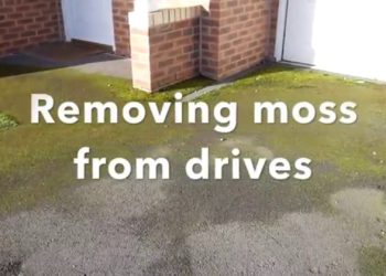 best way to clean moss off concrete