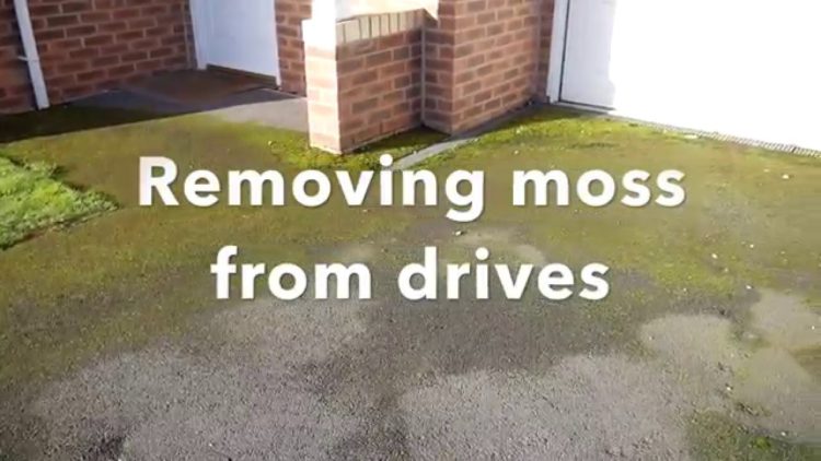 best way to clean moss off concrete