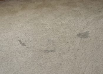 how do you get foundation out of carpet