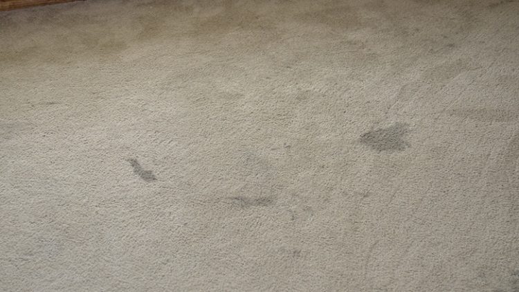 how do you get foundation out of carpet