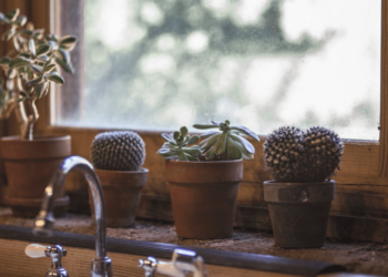 Can you put regular Windows in a mobile home?