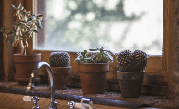 Can you put regular Windows in a mobile home?