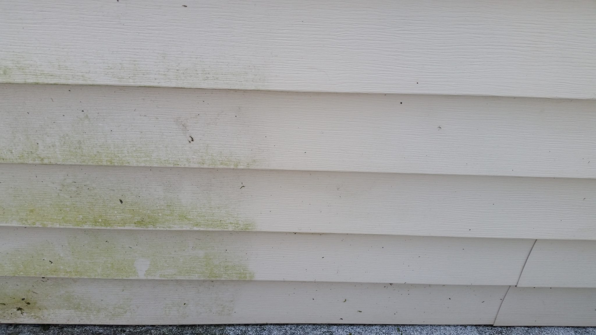 How do you stop algae from growing on vinyl siding?