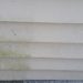 how to keep green mold off vinyl siding
