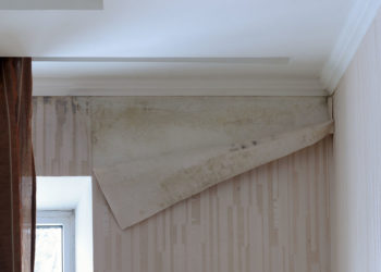 damp wallpaper peeling