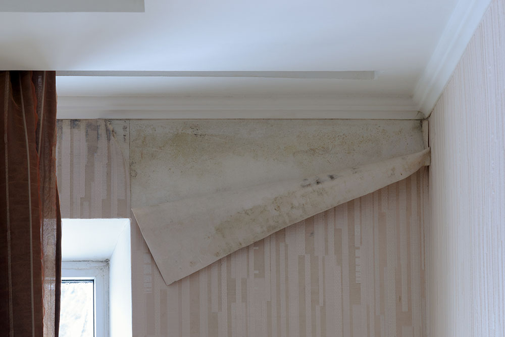 How do you stop damp from getting through wallpaper?