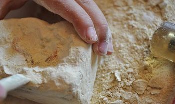 How long does it take for lime plaster to dry?