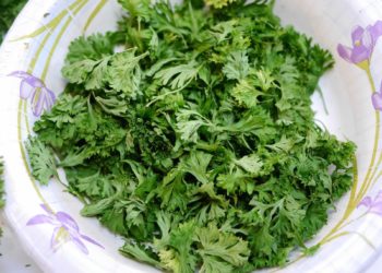 how to make dried parsley flakes