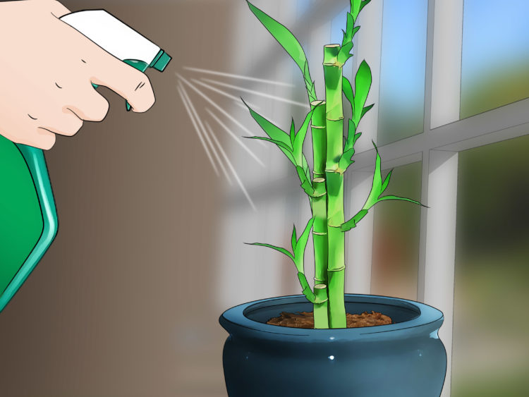 how to cure bamboo for construction