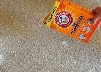 can i put baking soda on wet carpet