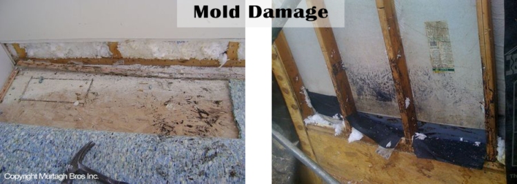 How do you repair damaged Dryvit?