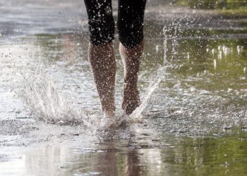 does roundup wash off in rain