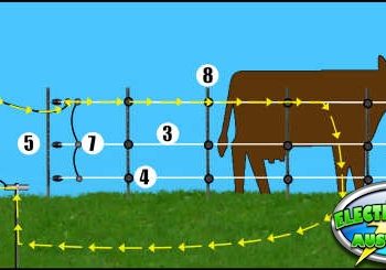 How do you electrify a fence with a battery?