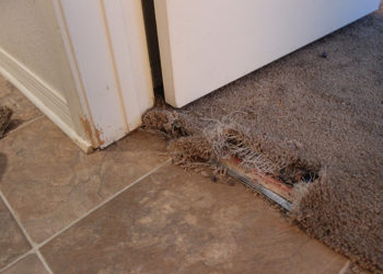 How do you fix a flooded carpet?
