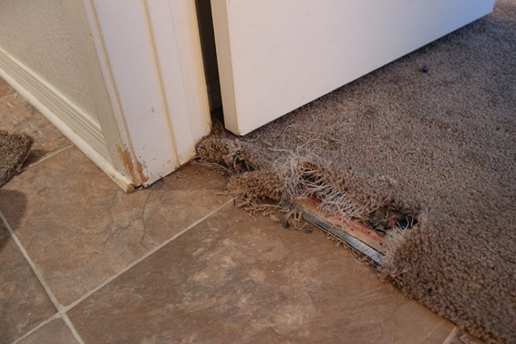 How do you fix a flooded carpet?