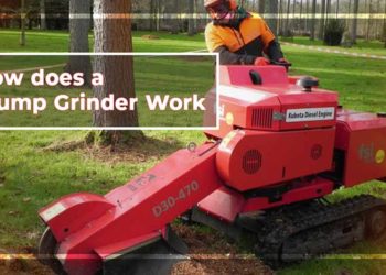 Does stump killer really work?