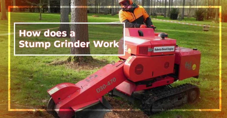 Does stump killer really work?