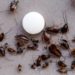 how to get rid of a heavy roach infestation