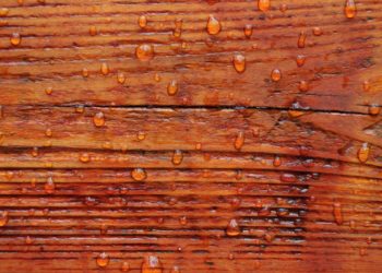 how long does wood stain take to dry