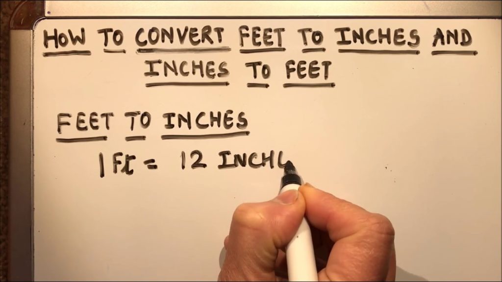 how-many-square-feet-is-a-2x4x8