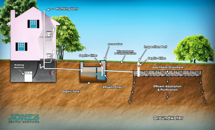 What is a common septic?