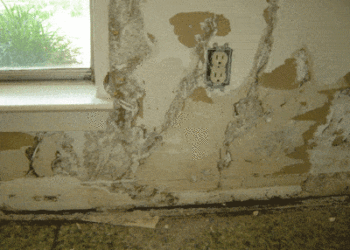 How do you fix termite damage in drywall?