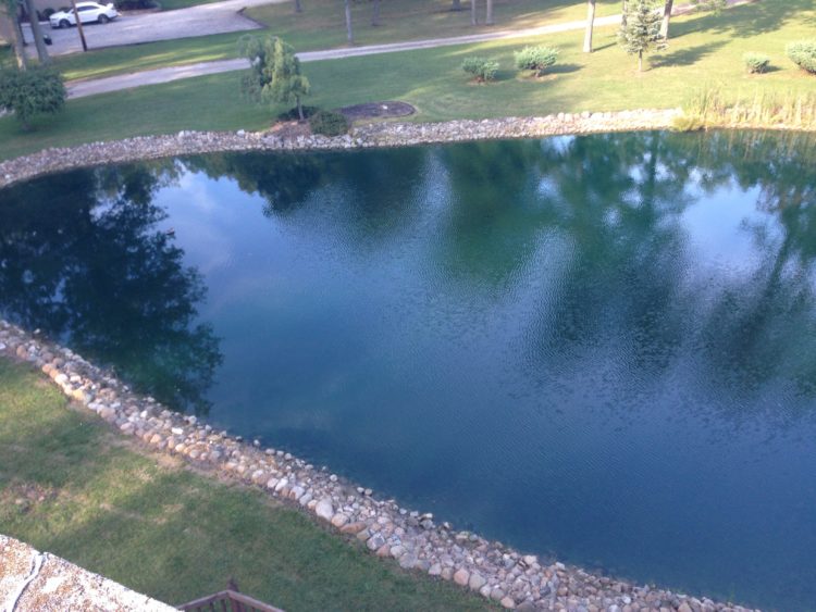 1 4 acre pond